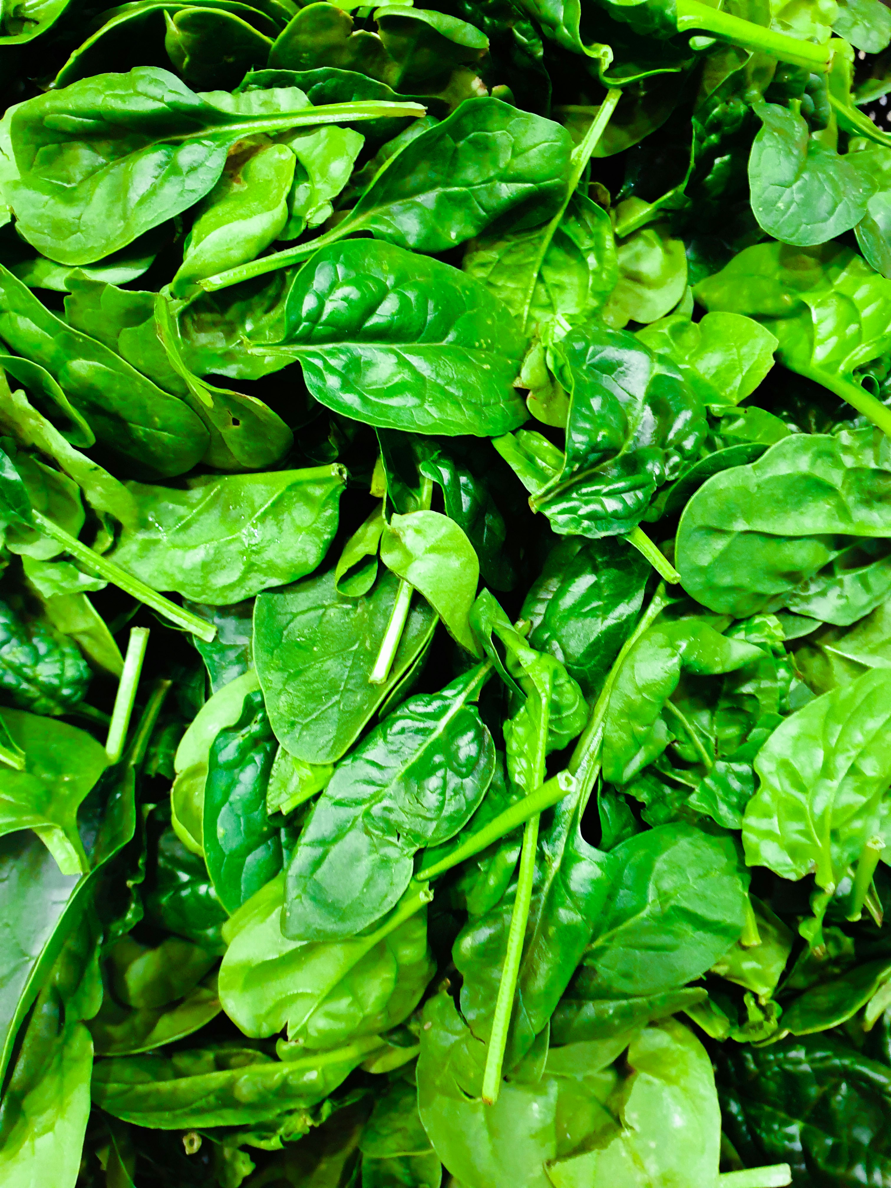 spinaci